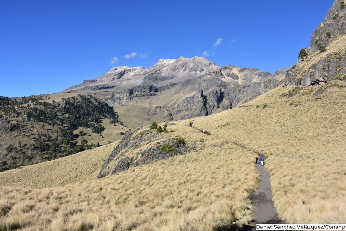 
								Por semáforo rojo, amplían cierre en parque Iztaccíhuatl-Popocatépetl y Nevado de Toluca
								