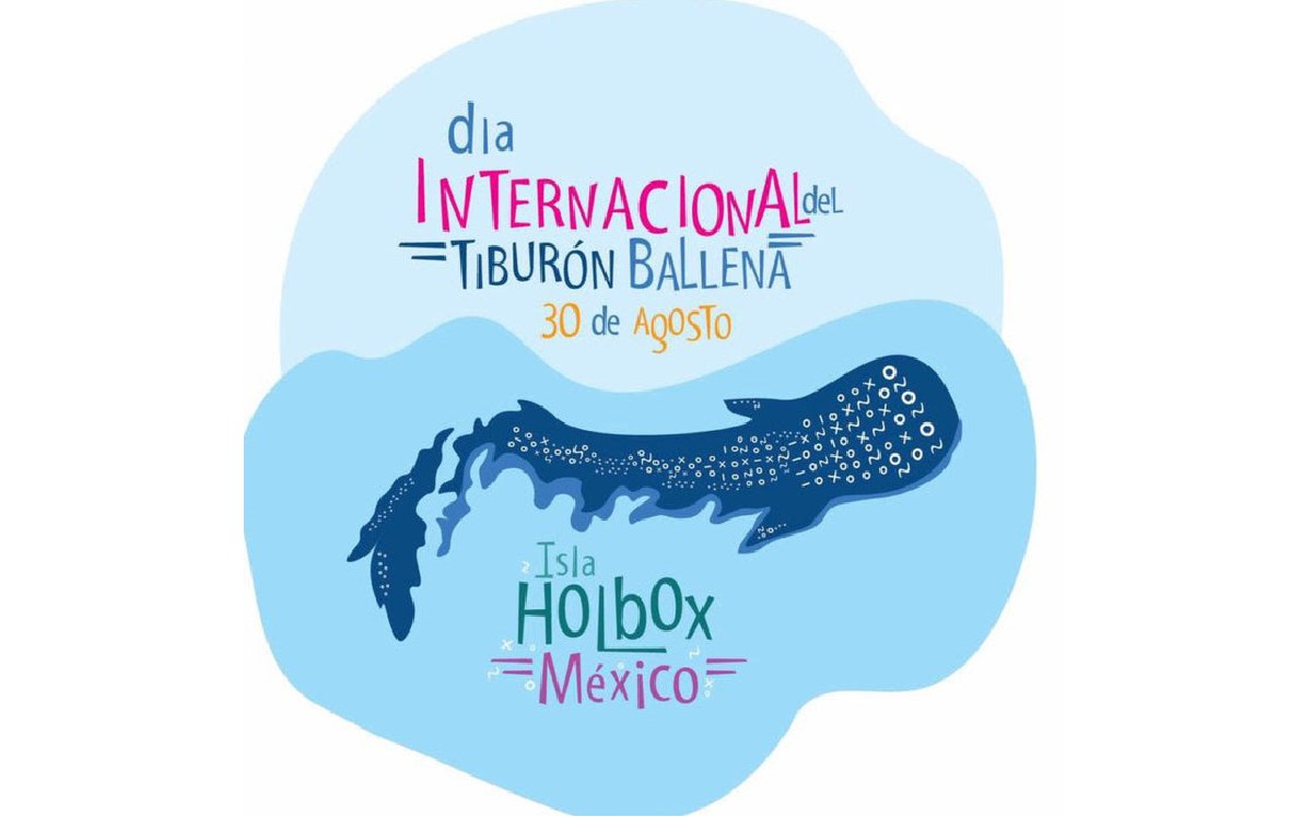 Festival Internacional del Tiburón Ballena | Foto: Festival Isla Holbox