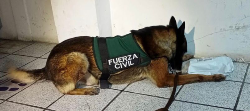 En uno de los casos, la droga se encontraba en jarros artesanales. (Especial)