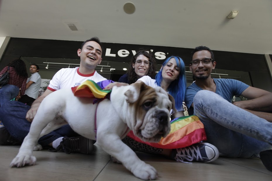 Levis andares Clearance