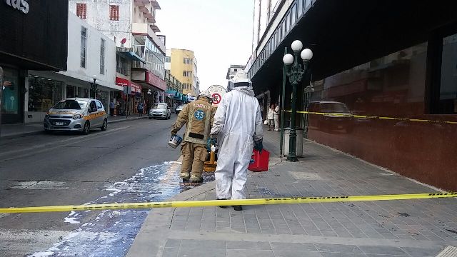 Elementos de bomberos aplicando medidas de seguridad por presencia de abejas. 