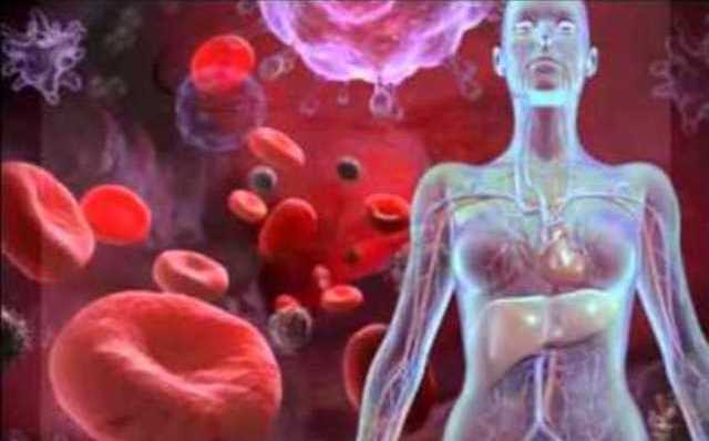 Cuanto Alcohol Soporta El Cuerpo Humano