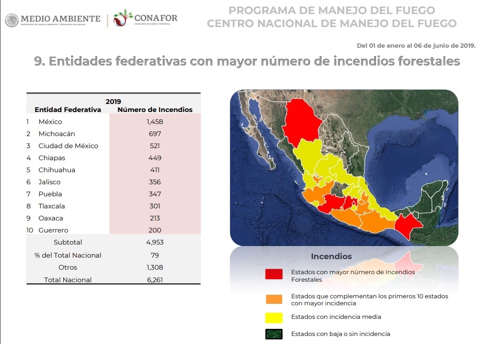 
								Reforestación, principal arma contra la contaminación: Conafor
								