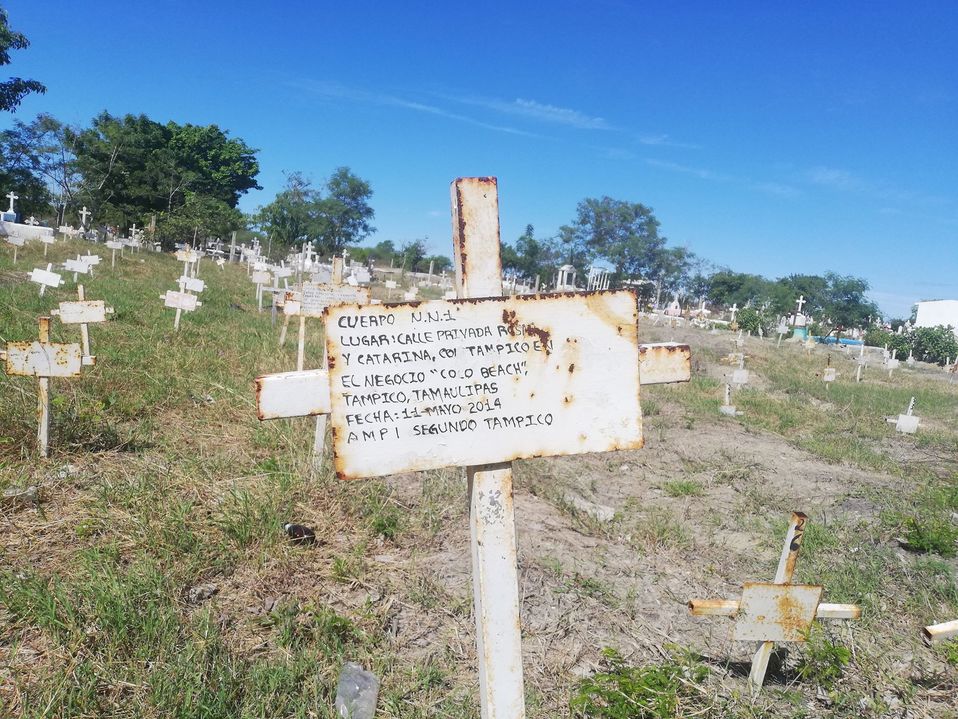 Noticias de Fosa común en Milenio