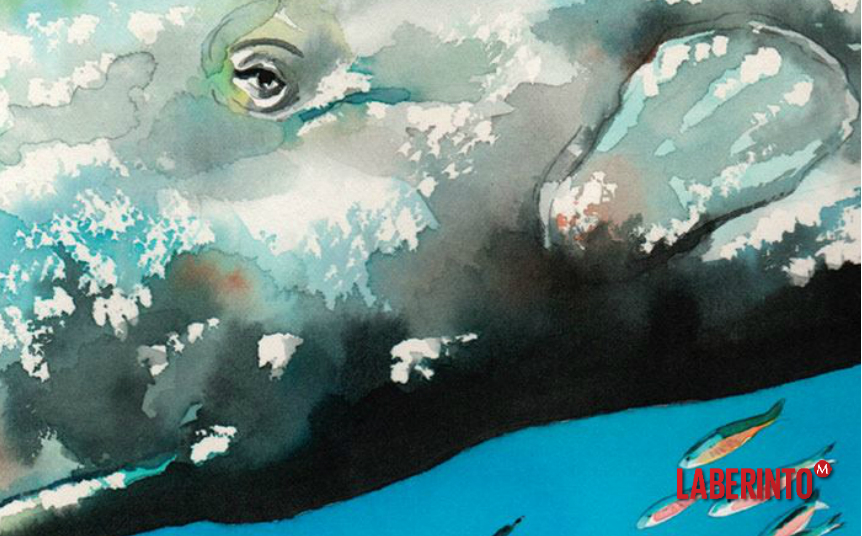 Historia de una ballena blanca, Luis Sepúlveda Grupo