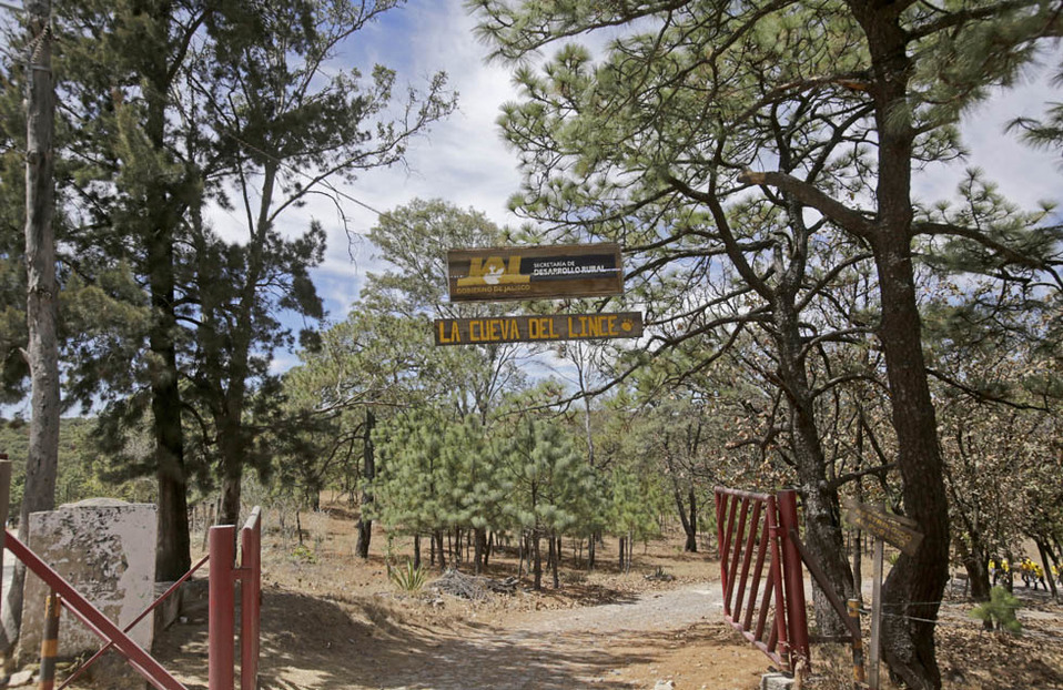 Bosque La Primavera en Jalisco ¿cuál es su historia y cómo llego
