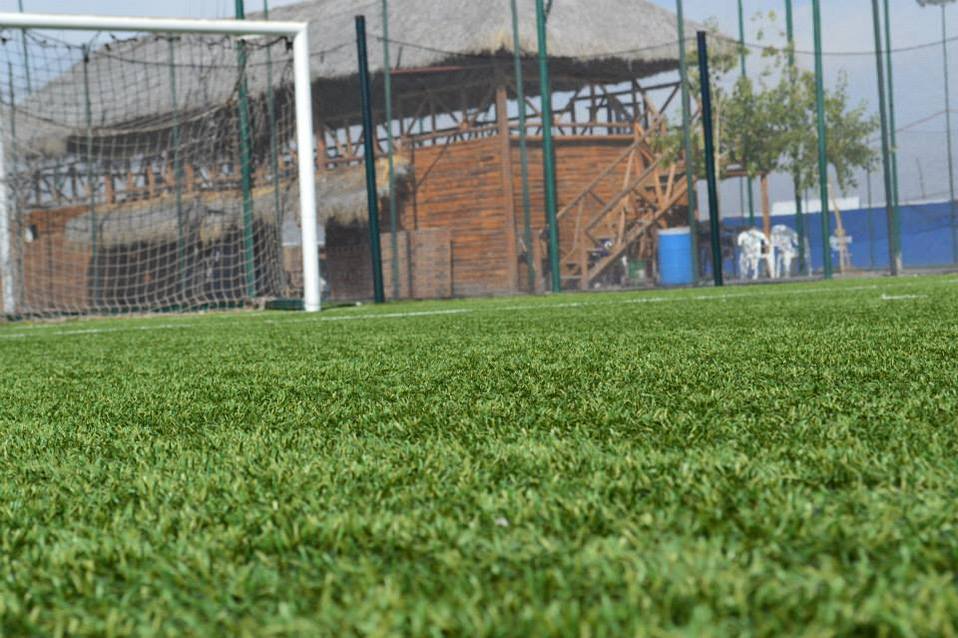 Coronavirus Torreo Familias Sin Ingresos Por Cierre De Canchas
