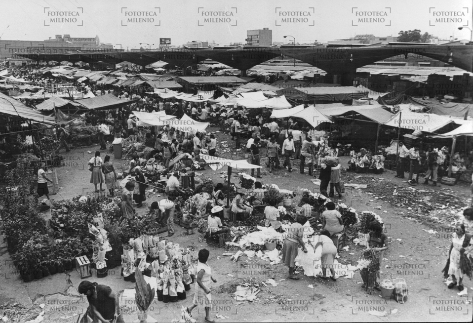 Noticias de Mercado de Jamaica en