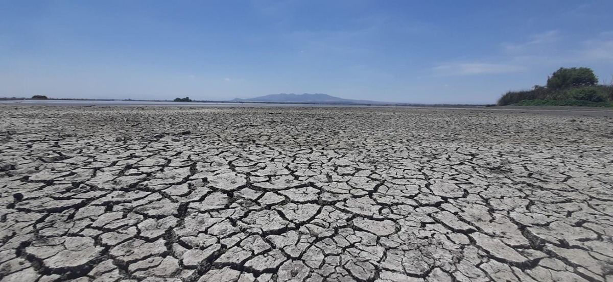 Zumpango. Pocas lluvias dejan sin agua a la Laguna Grupo Milenio Zumpango. Pocas lluvias dejan sin agua a la Laguna Grupo Milenio