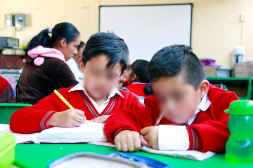 Las pérdidas económicas para este año se estiman en 2 mil 600 millones de pesos.