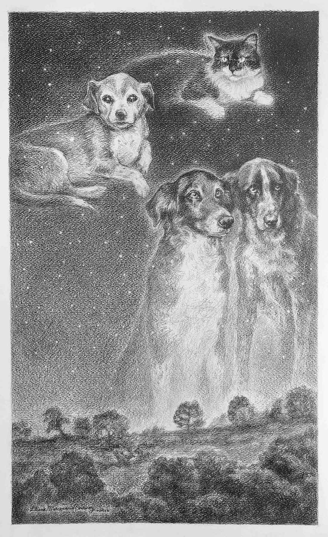 dibujo