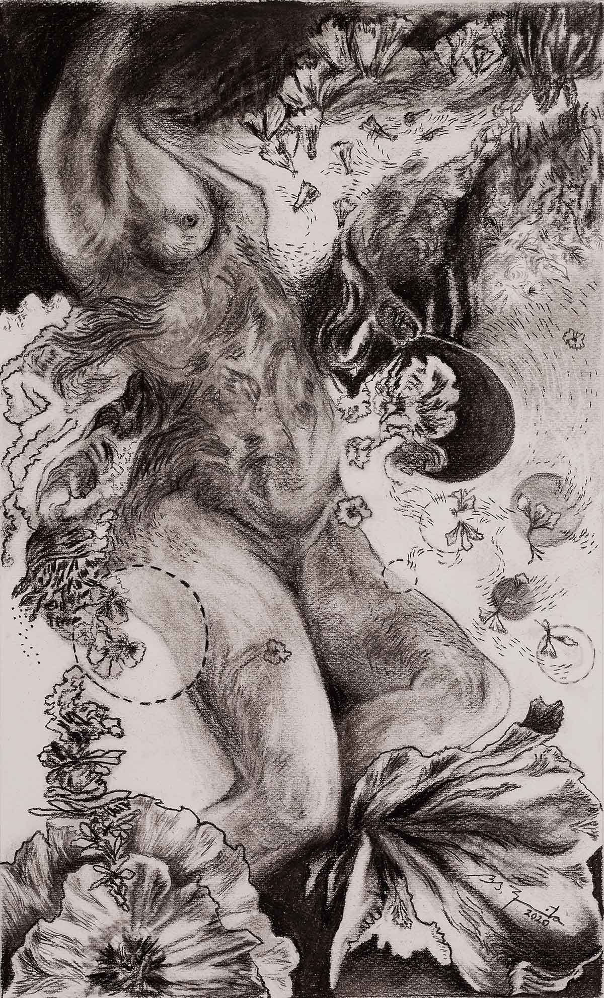 dibujo
