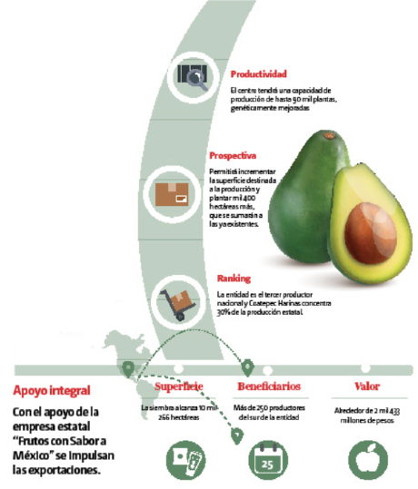 Sedagro continuará con la entrega de plantas aguacateras.