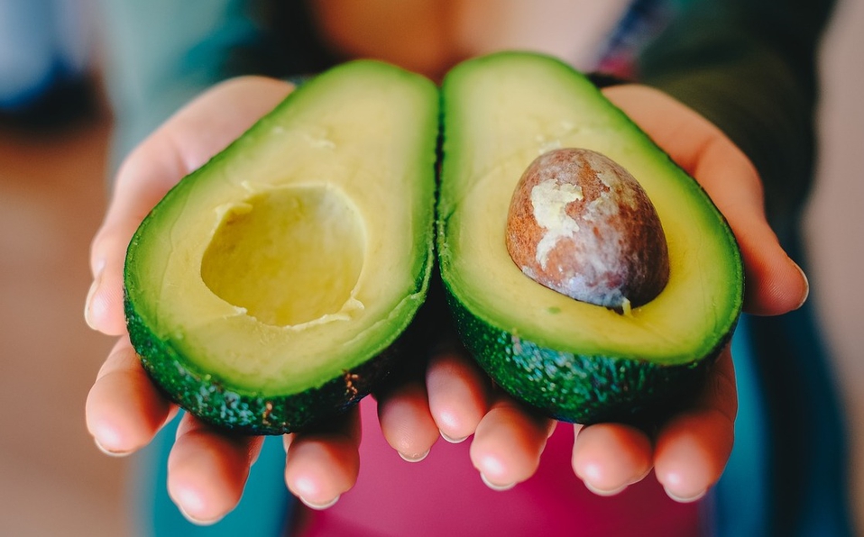 Sedagro continuará con la entrega de plantas aguacateras.