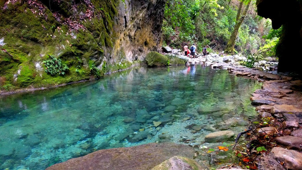 Biósfera de la Sierra Gorda en Querétaro ¿Qué hacer? Grupo Milenio Biósfera de la Sierra Gorda en Querétaro ¿Qué hacer? Grupo Milenio