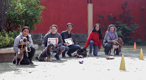 'Perruchini' busca ayudar a las familias a mejorar la comunicación entre mascota y humano.