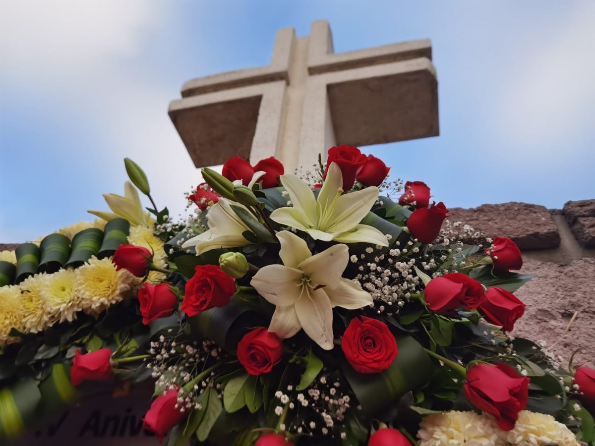 No existe información clara que explique el inicio del infortunio, indica un estudio.