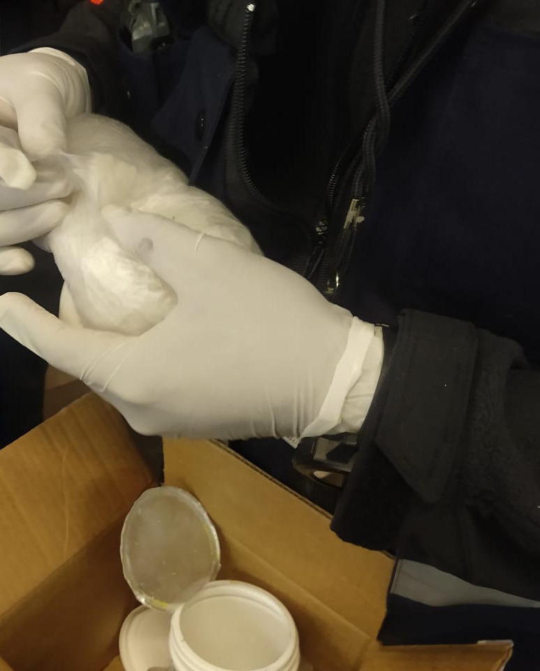 Eran procedentes de Querétaro y Jalisco.