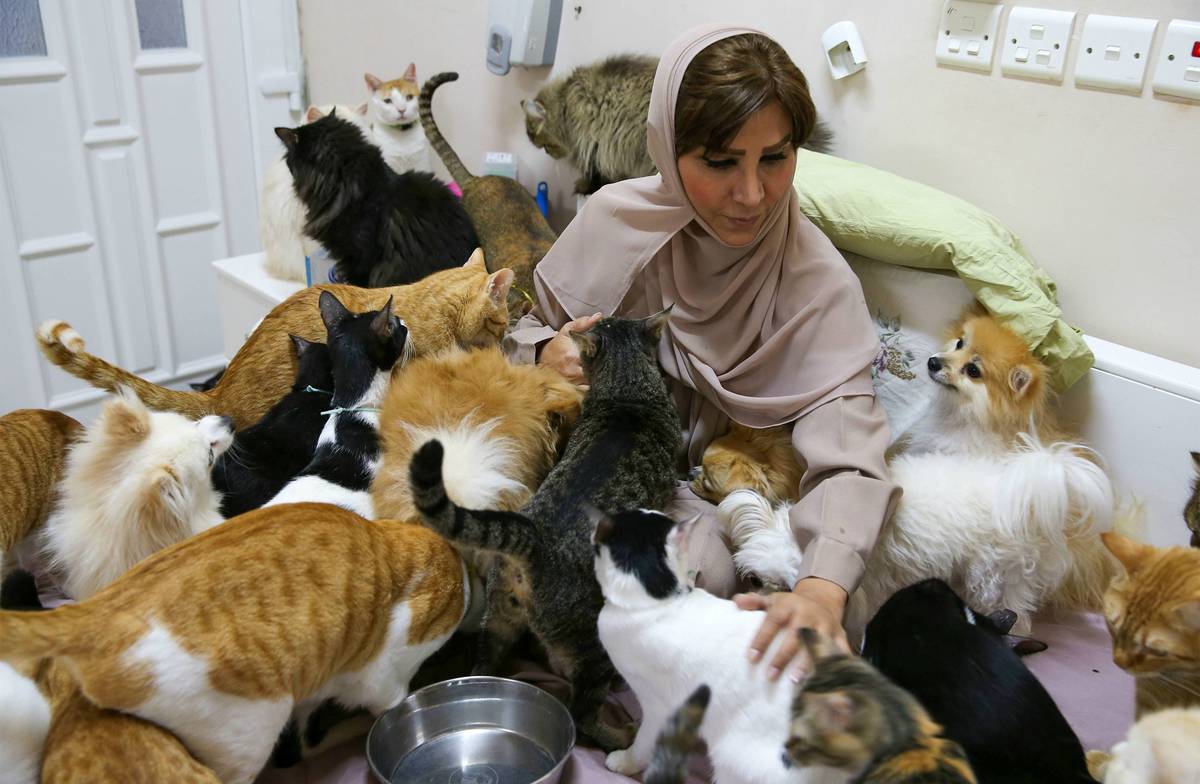 mujer-con-gatos.jpg