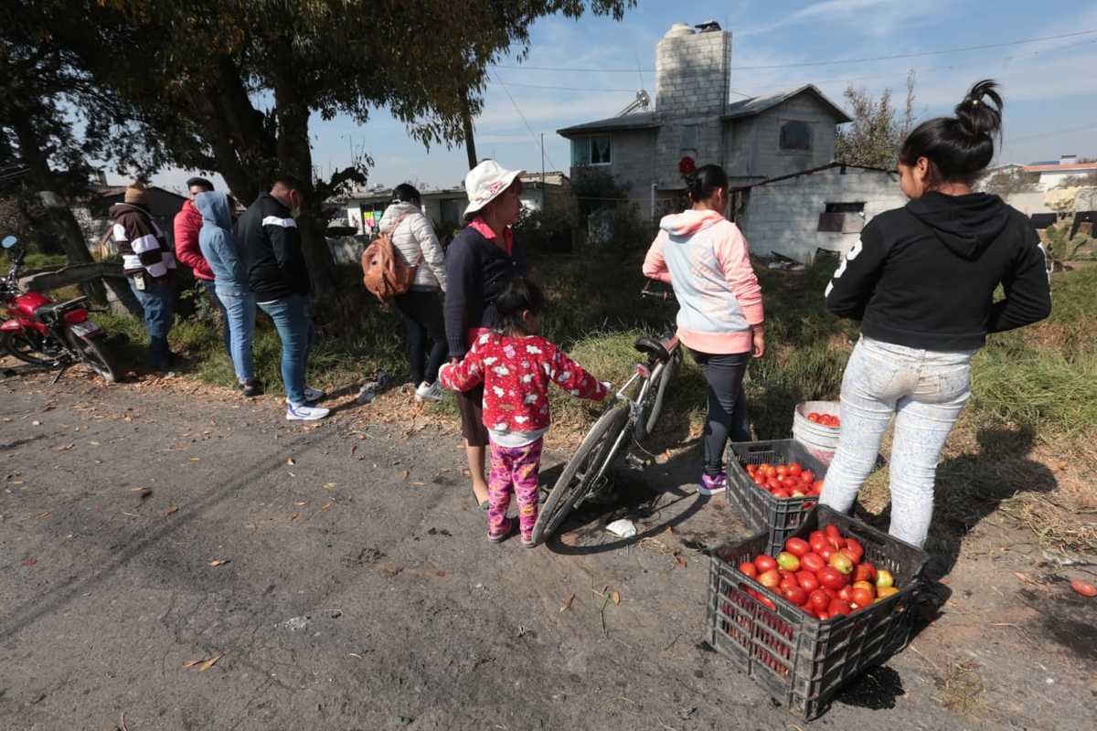 El operador de un camión tipo torton perdió el control y volcó en un canal de aguas residuales.