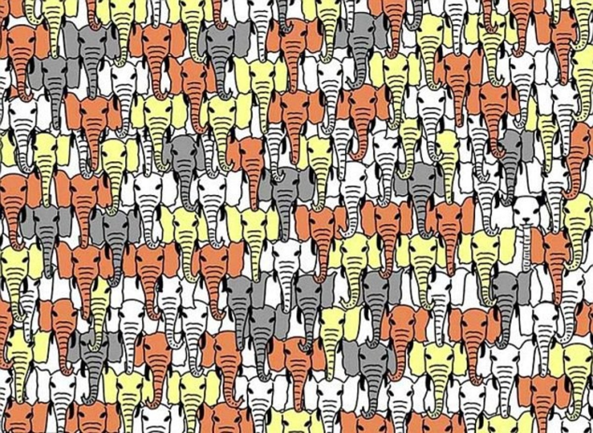 Encuentra el panda entre los elefantes
