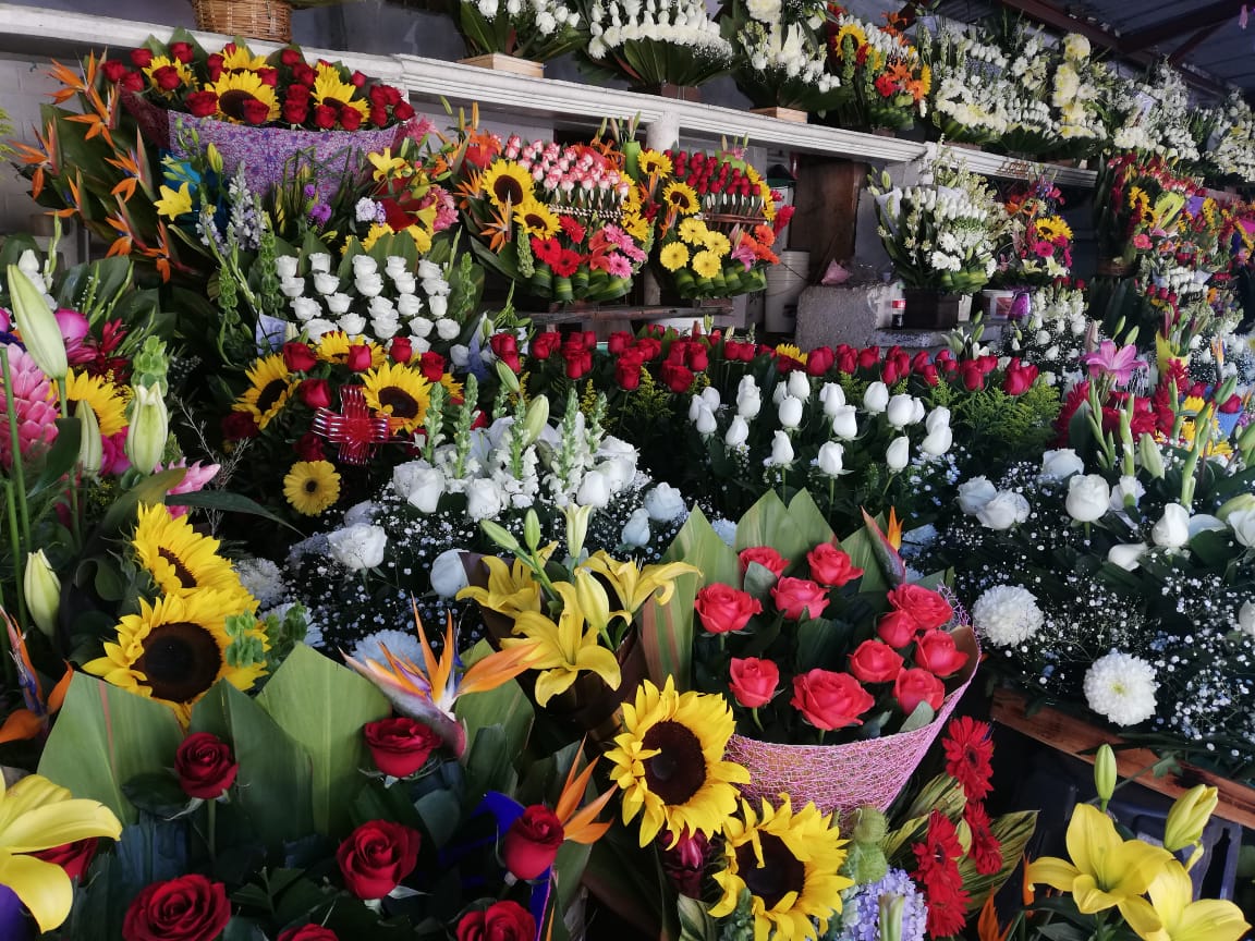 flores