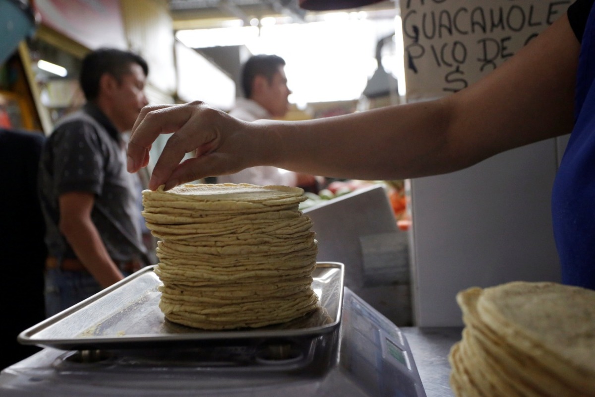 tortilla