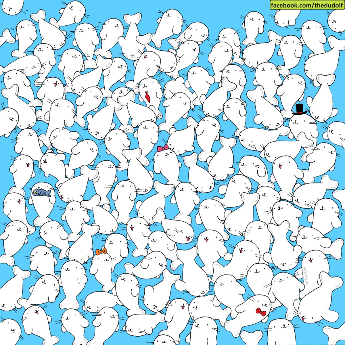 Encuentra el bombón entre las focas (Dudolf).