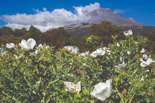 popocatépetl