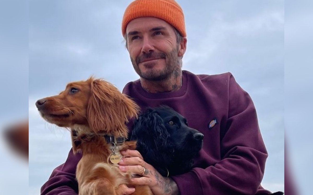 Rostro de David Beckham causa revuelo en redes; ¿se operó? - Vimarsana News