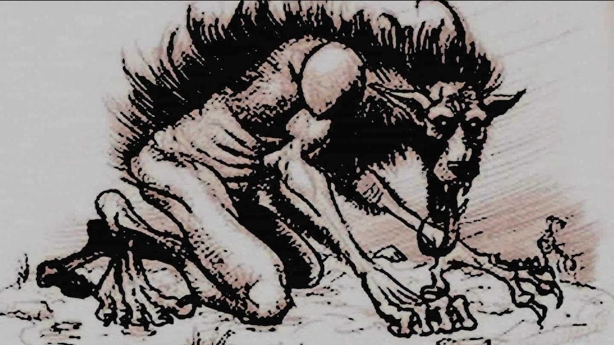 El Nahual Historia y origen detrás de la aterradora leyenda mexicana Grupo Milenio El Nahual Historia y origen detrás de la aterradora leyenda mexicana Grupo Milenio