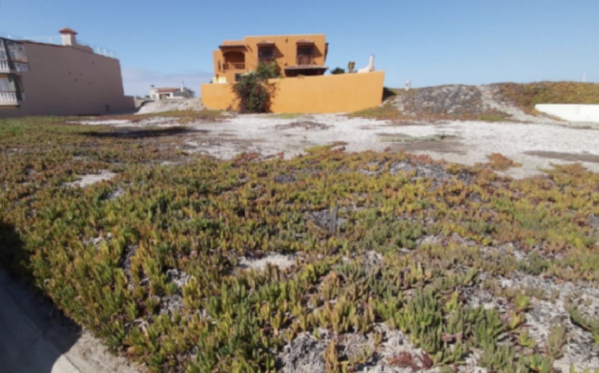 Terreno en Ensenada 4