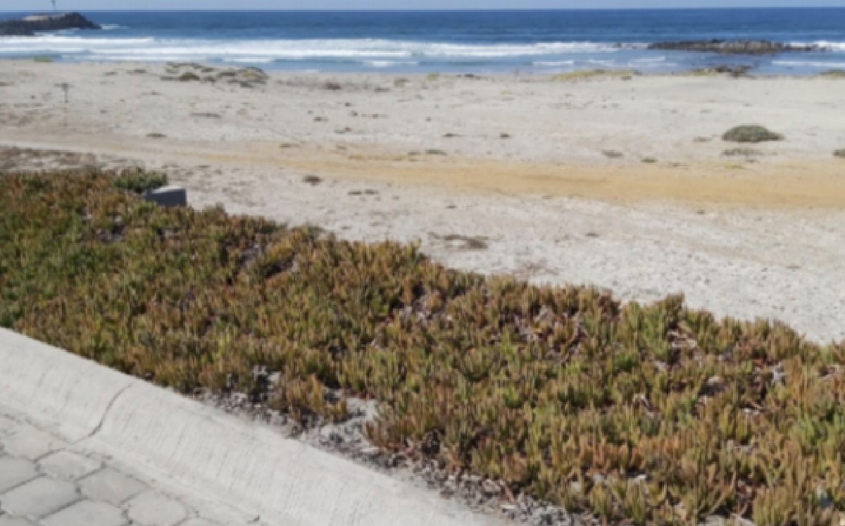 Terreno en Ensenada