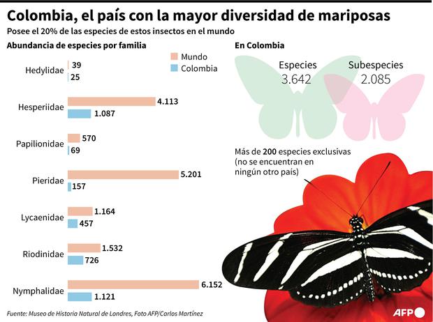 Infografía de especies de mariposas en Colombia | Fuente: AFP