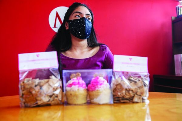 repostería de mascotas
