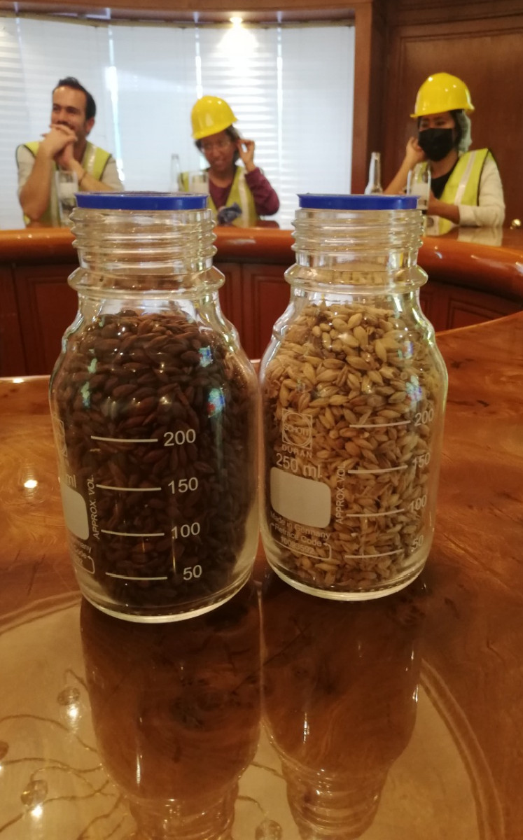 Lúpulo y cebada | Foto: Especial