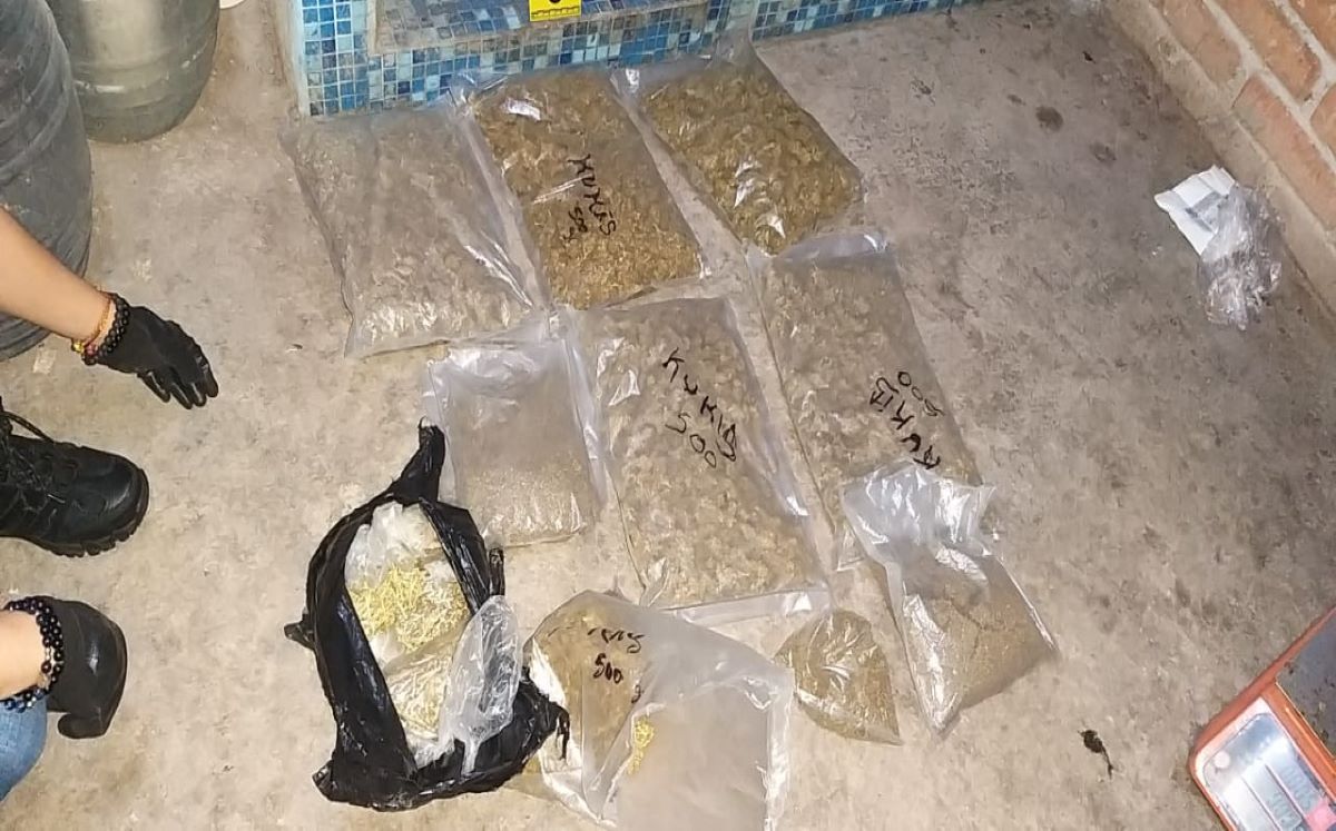 decomiso de drogas