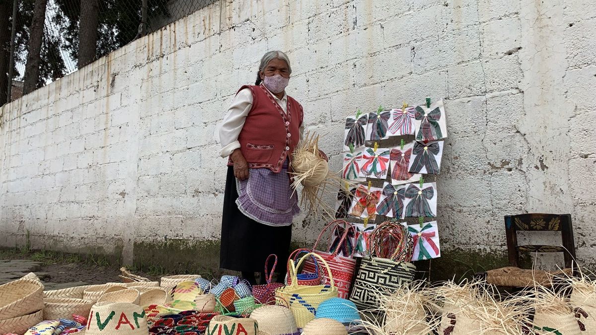 tejedores de palma