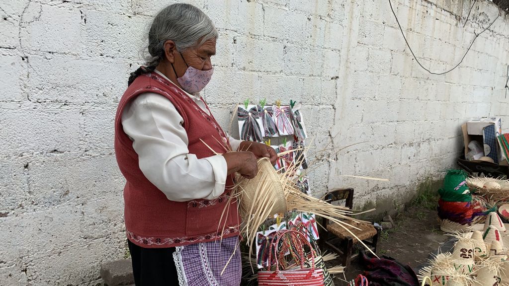tejedores de palma