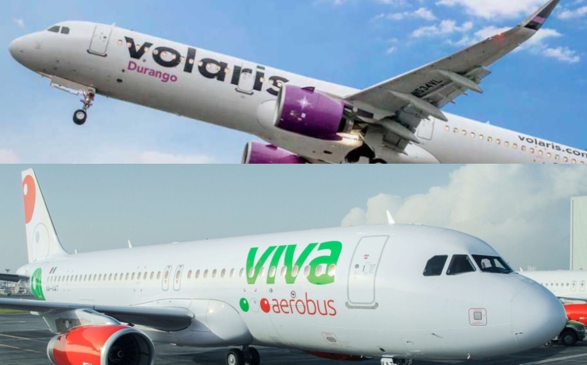 Noticias de VivaAerobus en Milenio - Grupo Milenio