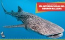 Día Internacional del Tiburón Ballena | Foto: PMA