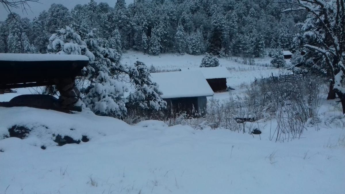 ¿Cuándo caerá nieve en Durango