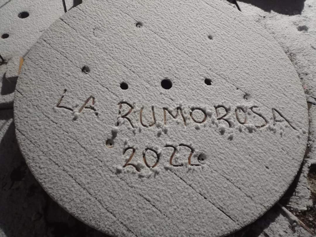nievee