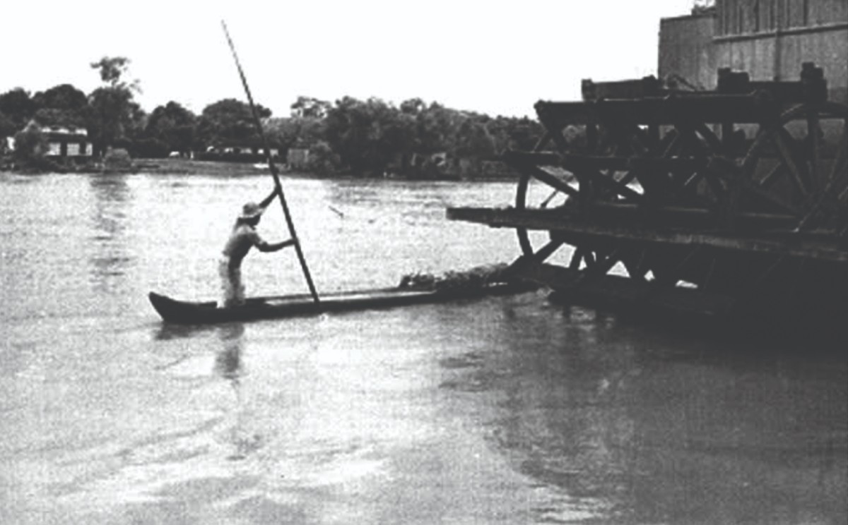 barcos