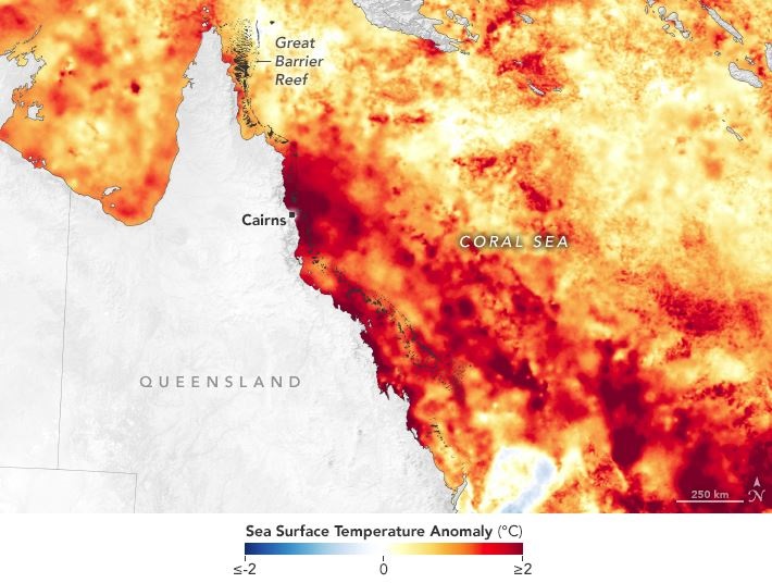 Gran Barrera de Coral, aumento de temperatura del mar. | DPA