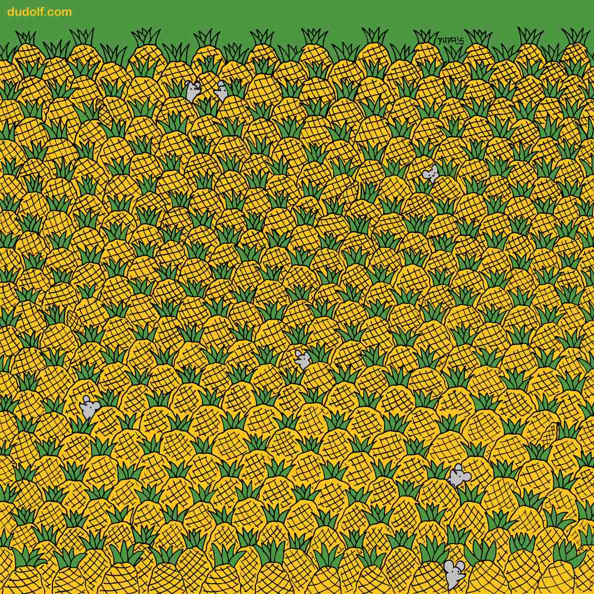 |https://www.milenio.com/uploads/media/2022/04/27/reto-visual-dudolf.jp}