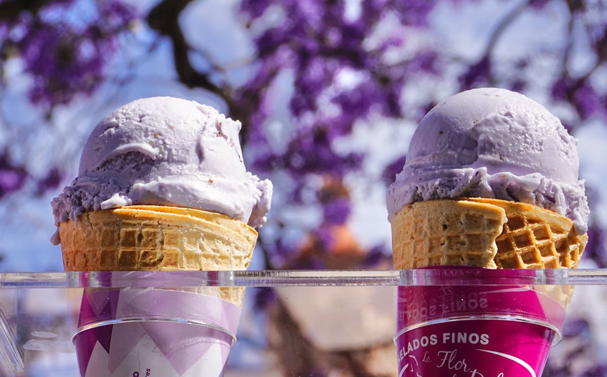 Helado de jacaranda: Dónde probar este postre - Grupo Milenio
